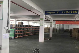 发网广州广欣云仓 赋能全国电商的智慧仓储与配送中心