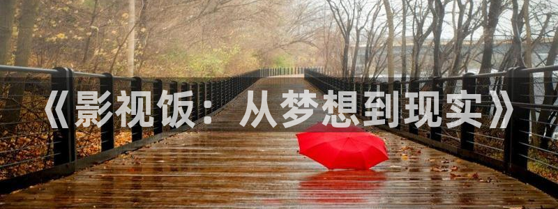 .欧美影院：《影视饭：从梦想到现实》