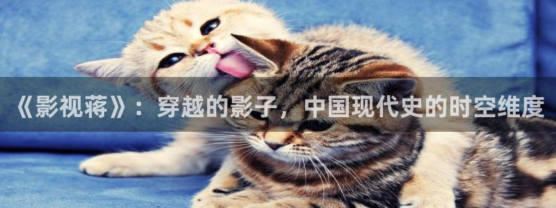 大爷操欧美影院：《影视蒋》：穿越的影子，中国现代史的时空维度