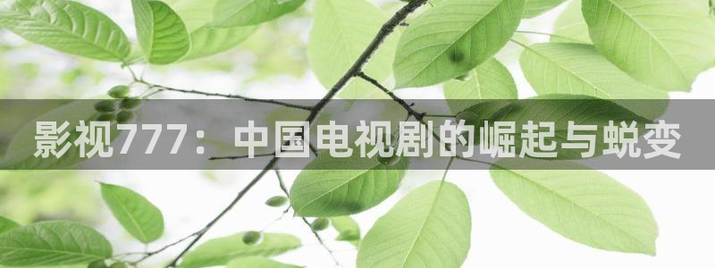 伊人欧美影院：影视777：中国电视剧的崛起与蜕变