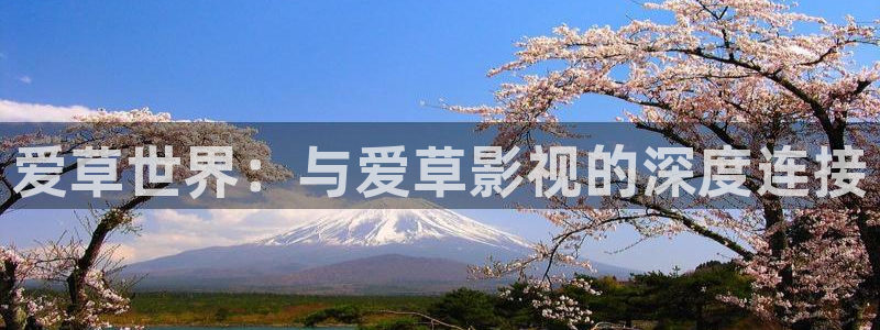 欧美影院子：爱草世界：与爱草影视的深度连接