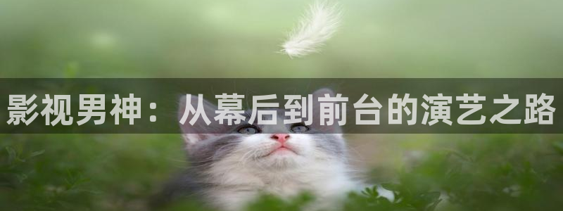 欧美影院：影视男神：从幕后到前台的演艺之路
