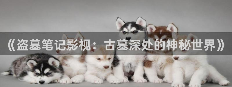 欧美影院另类：《盗墓笔记影视：古墓深处的神秘世界》