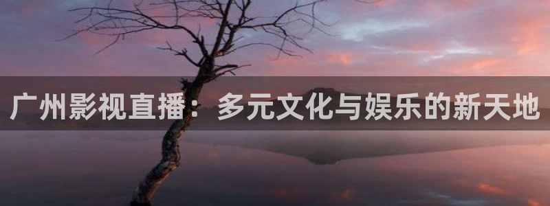 伊人欧美影院：广州影视直播：多元文化与娱乐的新天地