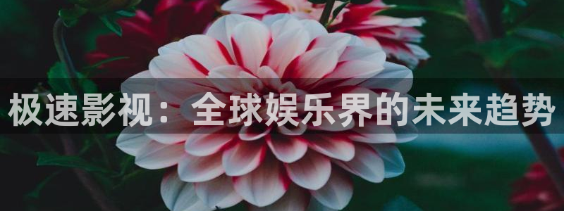 在线欧美影院：极速影视：全球娱乐界的未来趋势