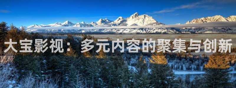 欧美影院在线观看：大宝影视：多元内容的聚集与创新