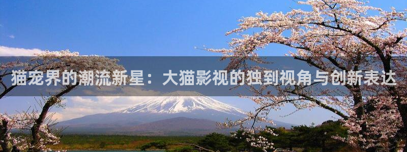 柏芝欧美影院：猫宠界的潮流新星：大猫影视的独到视角与创新表达