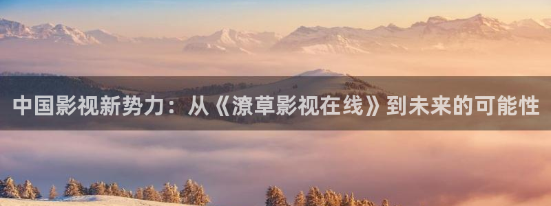 华数欧美影院：中国影视新势力：从《潦草影视在线》到未来的可能性