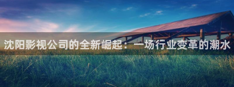 优优色欧美影院：沈阳影视公司的全新崛起：一场行业变革的潮水