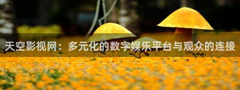 深夜欧美影院：天空影视网：多元化的数字娱乐平台与观众的连接