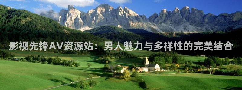 欧美影院在线观看一区二区：影视先锋AV资源站：男人魅力与多样性的完美结合